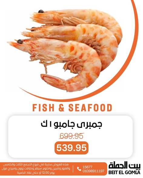 عروض بيت الجملة صفحة رقم 12